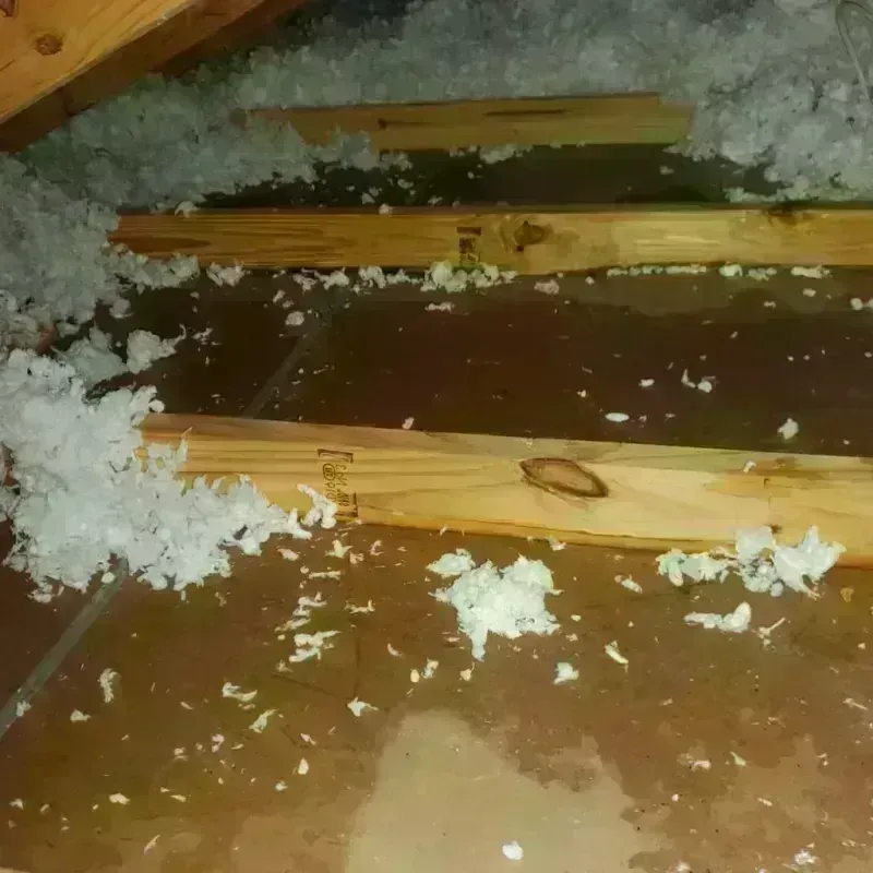 Attic Water Damage in Lincoln, AL