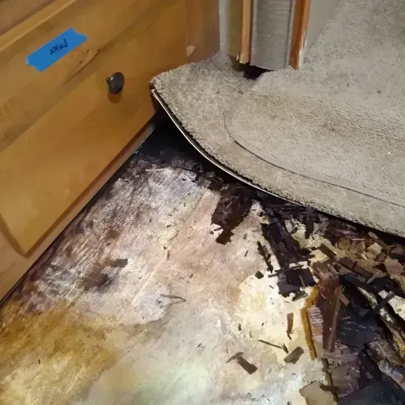 Wood Floor Water Damage in Lincoln, AL